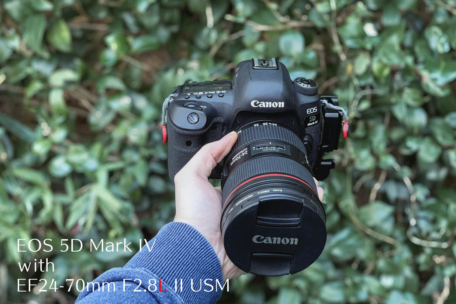 交換レンズ【美品】Canon EF24-70 F2.8L Ⅱ